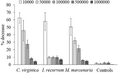 Bivalve Feeding on the Brown Tide Aureoumbra lagunensis in a Shallow Coastal Environment